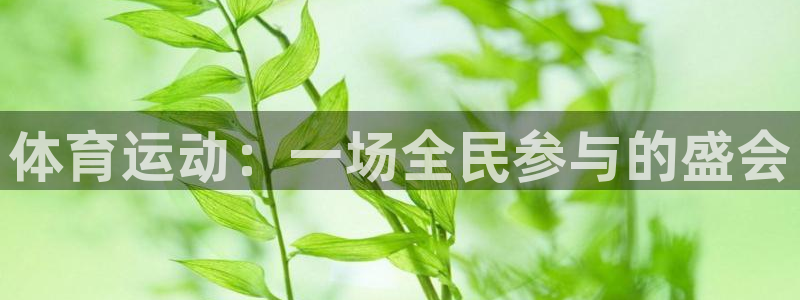 球速体育
