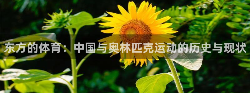 球速体育