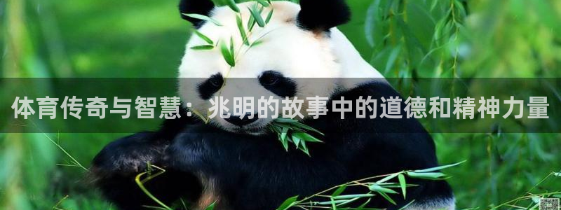 球速体育：体育传奇与智慧：兆明的故事中的道德和精神力量