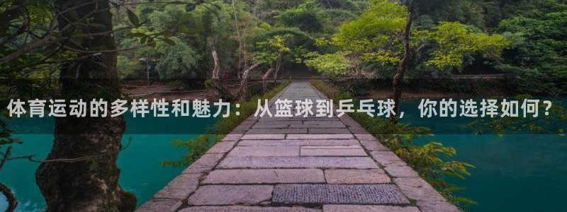 球速体育：体育运动的多样性和魅力：从篮球到乒乓球，你的选择如何？