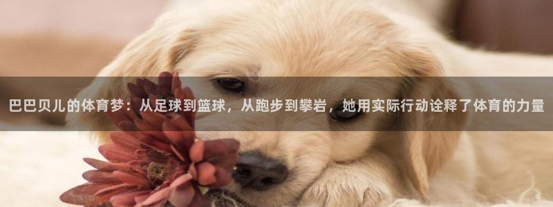 球速体育：巴巴贝儿的体育梦：从足球到篮球，从跑步到攀岩，她用实际行动诠释了体育的力量
